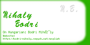 mihaly bodri business card